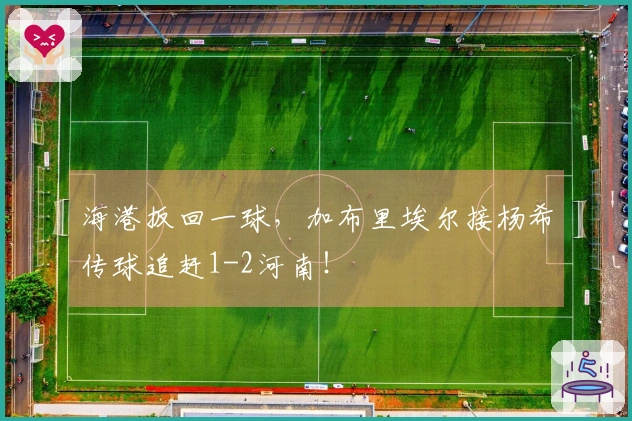 海港扳回一球，加布里埃尔接杨希传球追赶1-2河南！