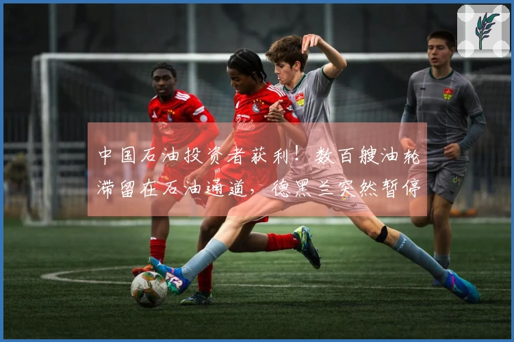 中国石油投资者获利！数百艘油轮滞留在石油通道，德黑兰突然暂停行动