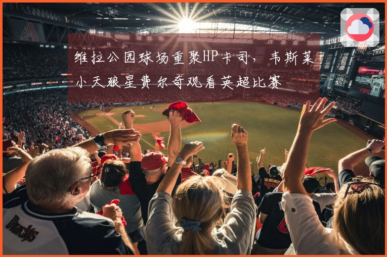 维拉公园球场重聚HP卡司，韦斯莱小天狼星费尔奇观看英超比赛