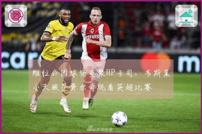维拉公园球场重聚HP卡司，韦斯莱小天狼星费尔奇观看英超比赛