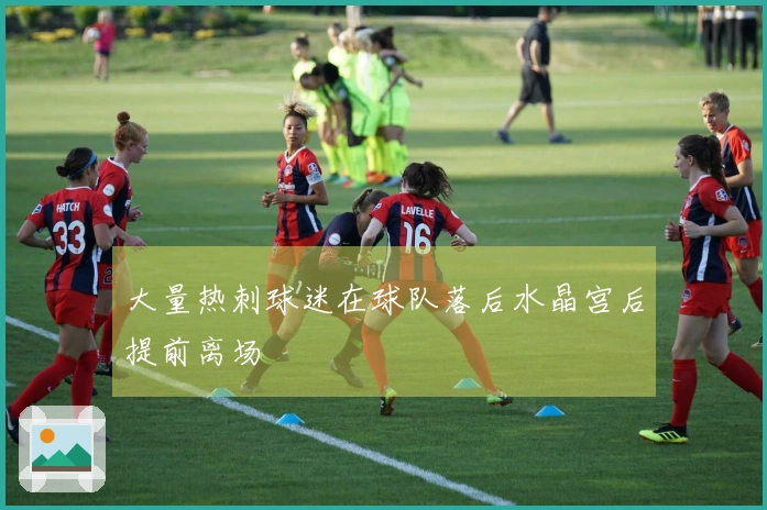 大量热刺球迷在球队落后水晶宫后提前离场